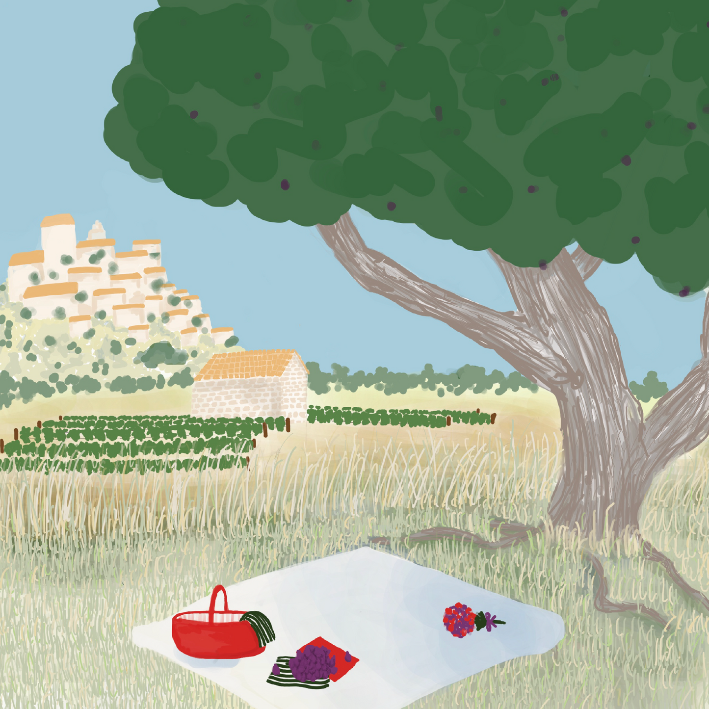 Kit Figue ensoleillée